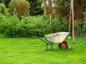 Can I Grow Weed In My Backyard?